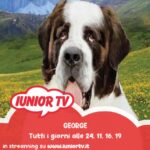 georgie-iunior-tv