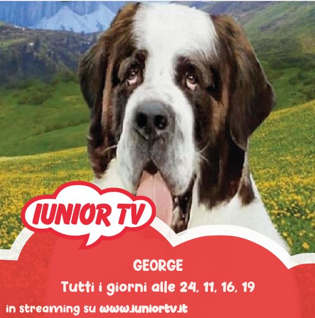 georgie-iunior-tv